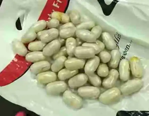NDLEA Arrest Man With 25KG Of Ephedrine At Kano Airport (Photo)